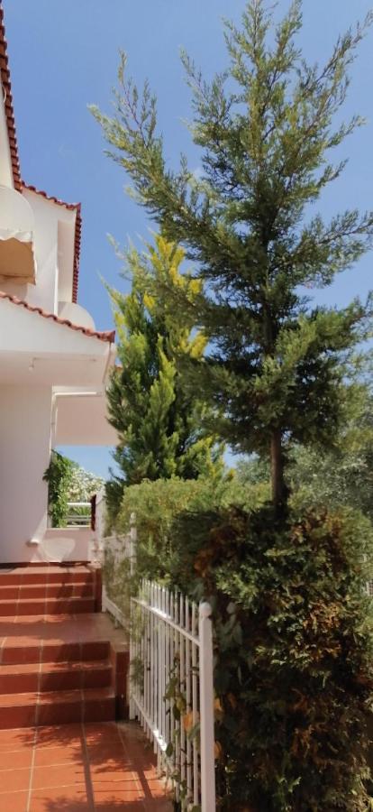 Ευχάριστη Βίλα Στη Χαλκίδα Στην Περιοχή "Αλυκές" Kültér fotó